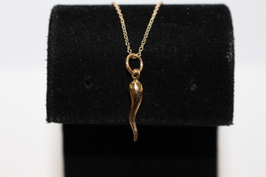  10kt Gold Rolo Chain With Cornica Pendant